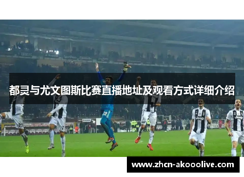 都灵与尤文图斯比赛直播地址及观看方式详细介绍