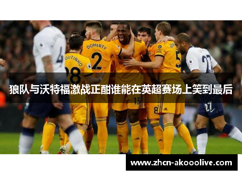 狼队与沃特福激战正酣谁能在英超赛场上笑到最后